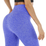 BlackArachnia New Women High Elastic Fitness Sport Leggings Yoga Pants Semaless Tights Sportswear Sports Pants Trousers Clothing